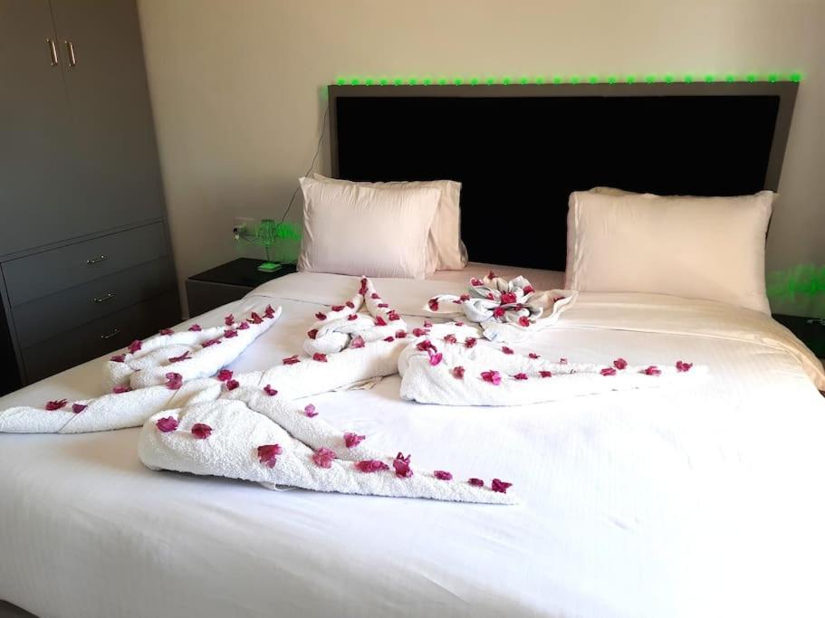 Jasmine Aldau Heights Rent One Bedroom Apartament Hurghada